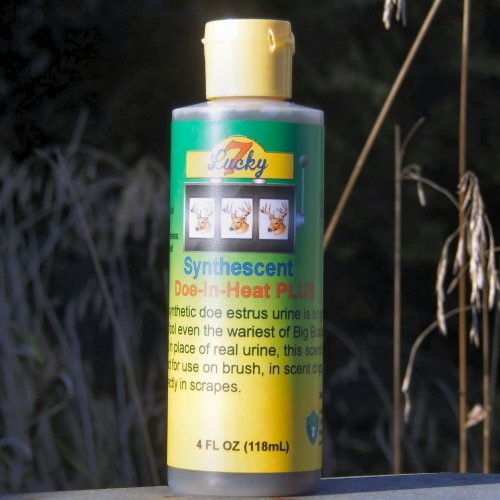 Synthetic Urine 
      Tips Buffalo NY 14207